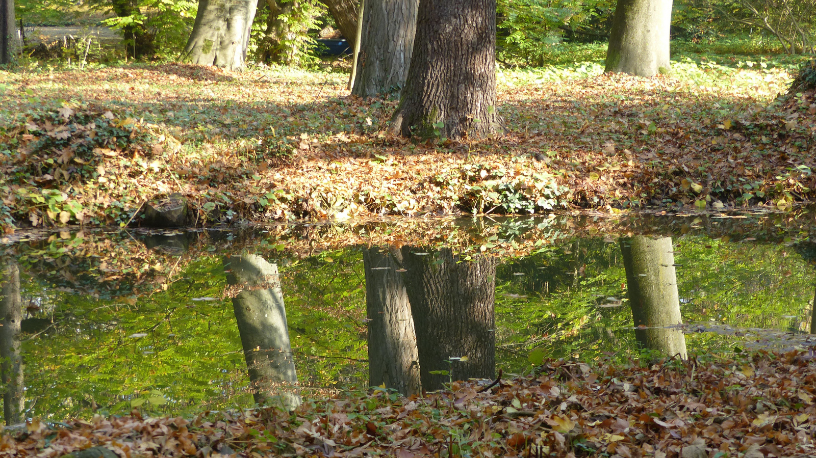 Vácrátót, az Arborétum ősszel, SzG3