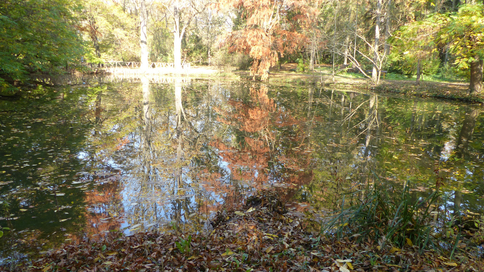 Vácrátót, az Arborétum ősszel, SzG3