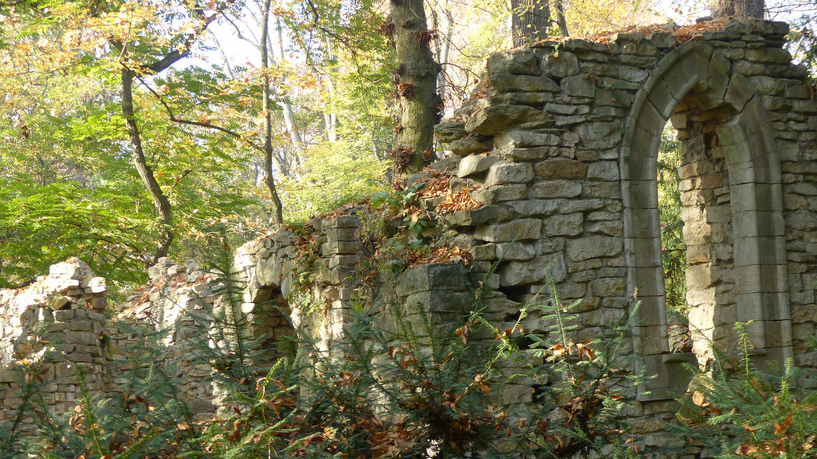 Vácrátót, az Arborétum ősszel, SzG3