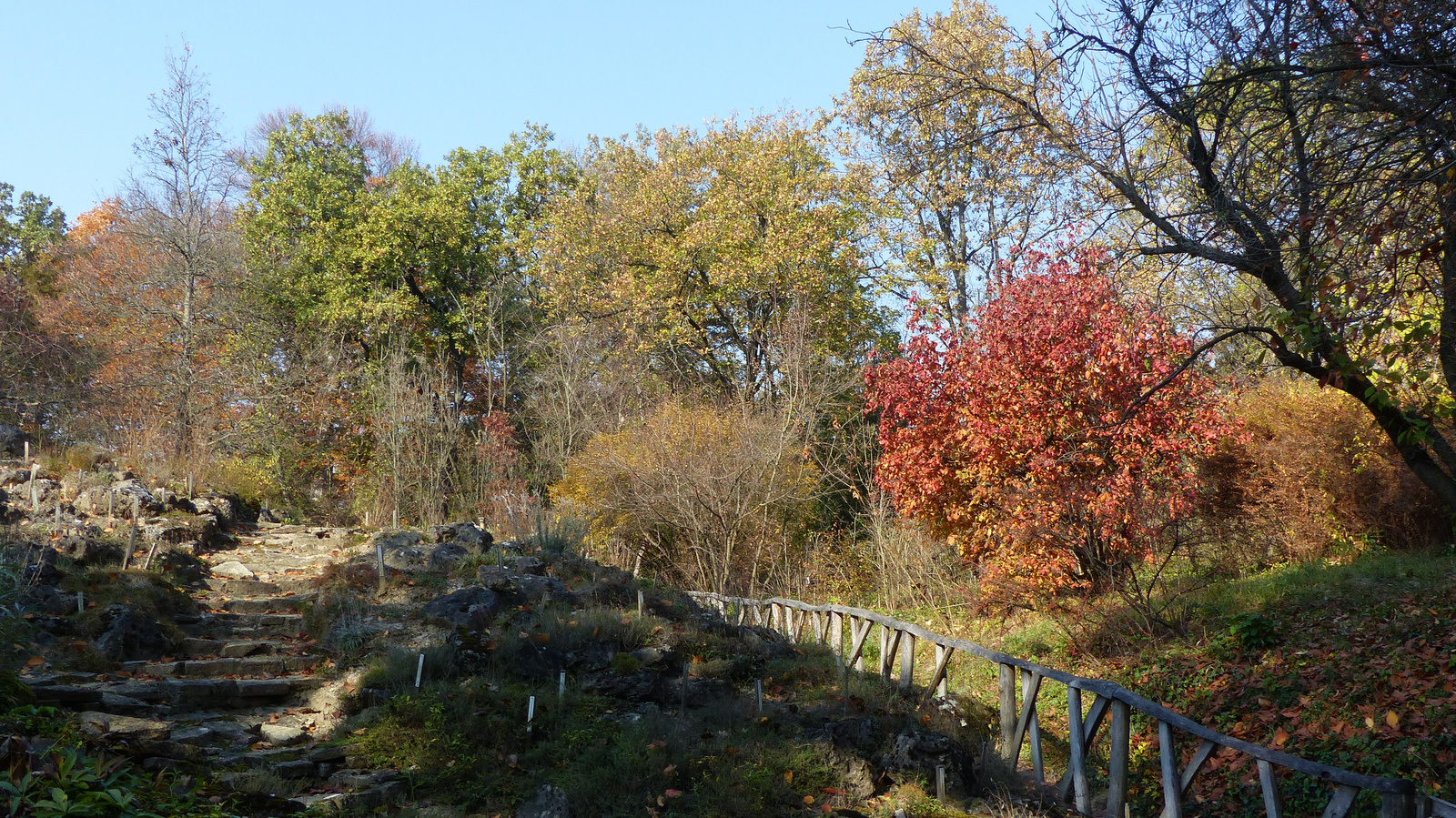 Vácrátót, az Arborétum ősszel, SzG3