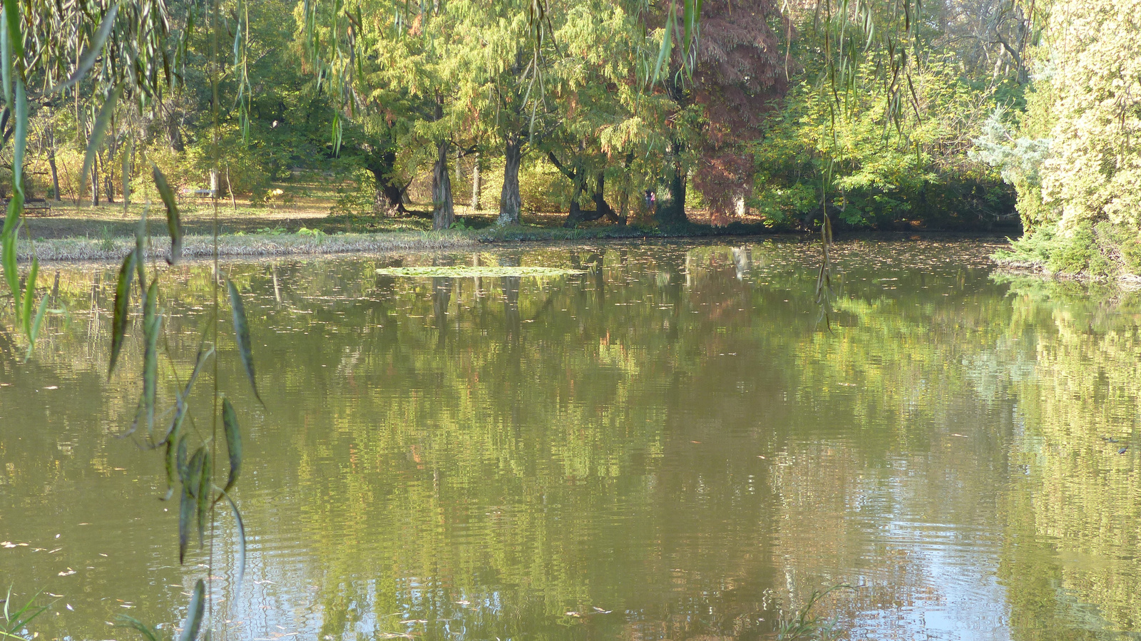 Vácrátót, az Arborétum ősszel, SzG3