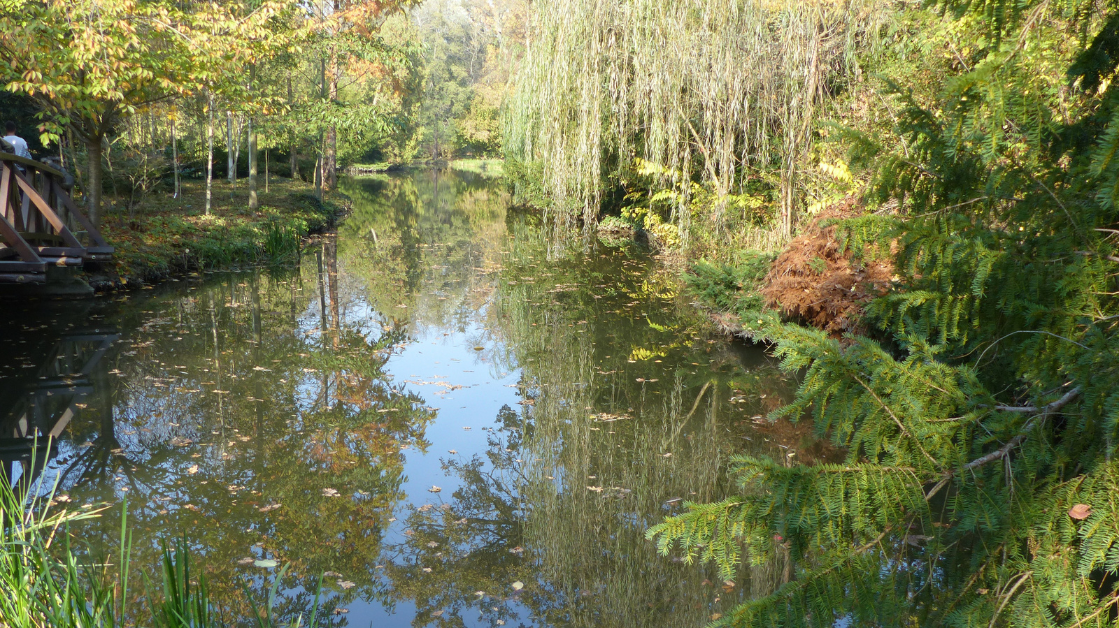 Vácrátót, az Arborétum ősszel, SzG3