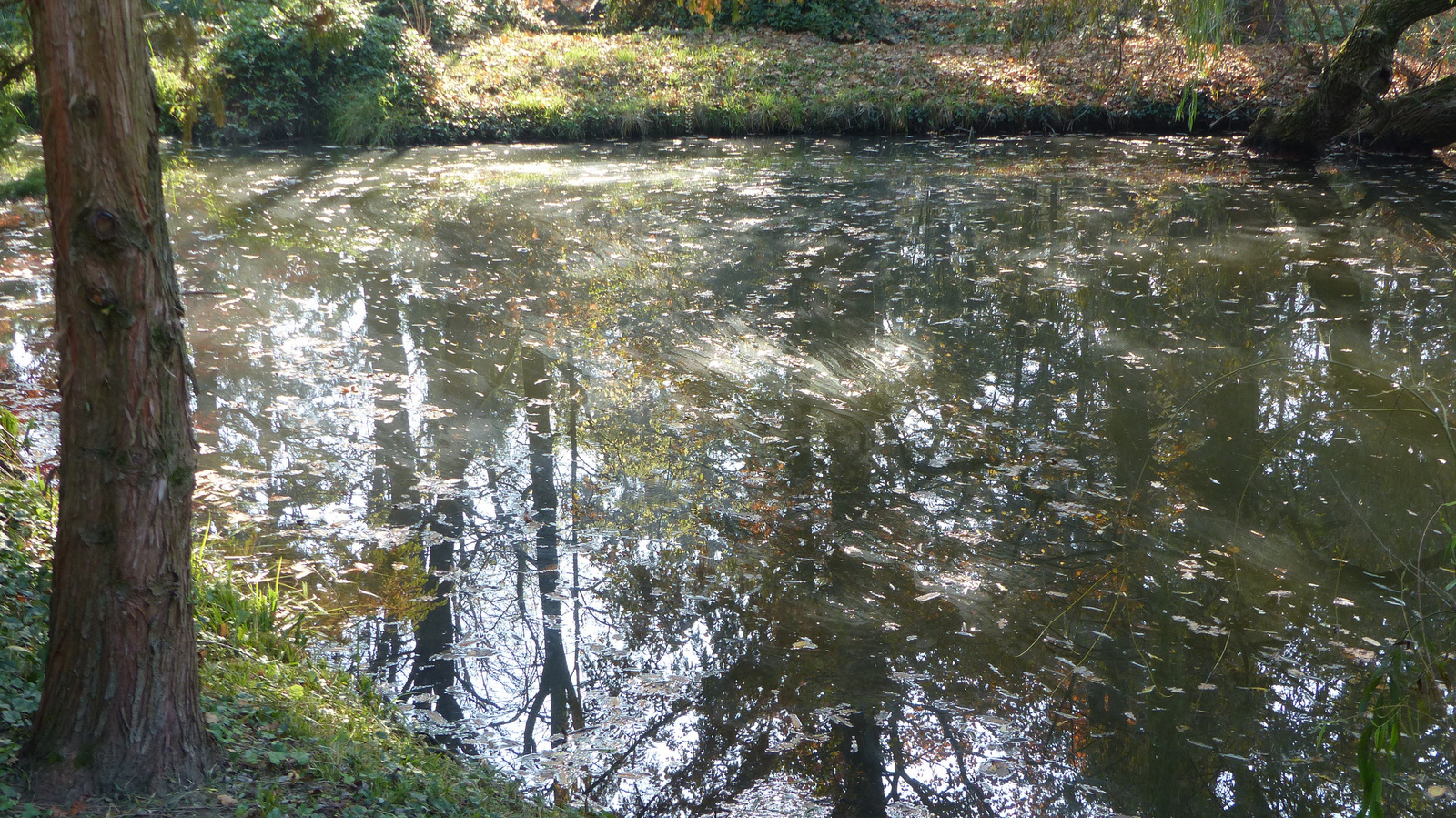 Vácrátót, az Arborétum ősszel, SzG3