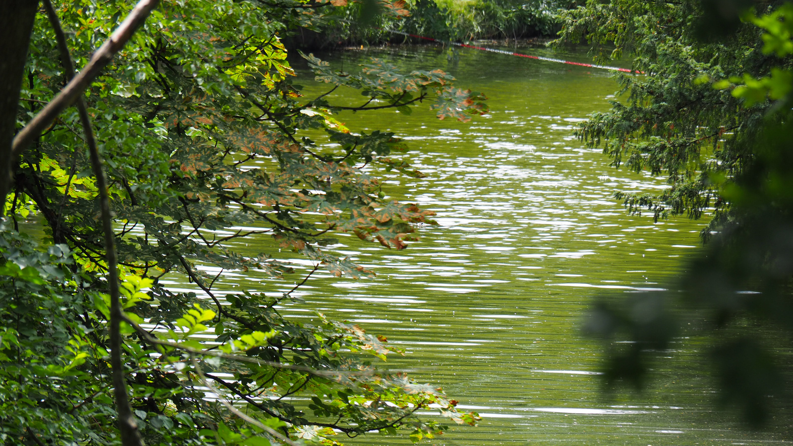 Laxenburg, Schlosspark, SzG3