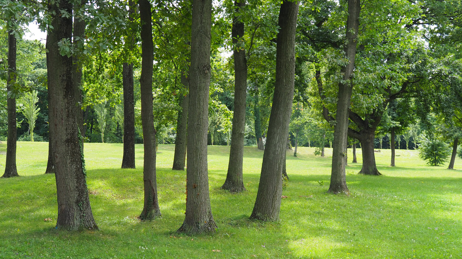 Laxenburg, Schlosspark, SzG3