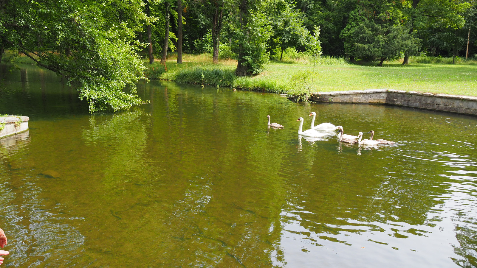 Laxenburg, Schlosspark, SzG3