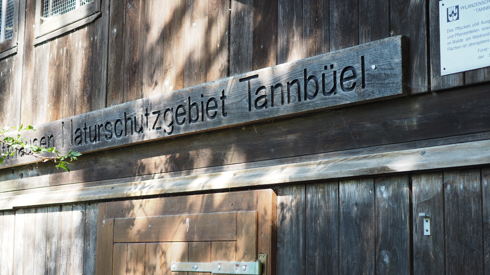 Svájc, Bargen, Naturschutzgebiet Tannbüel, SzG3
