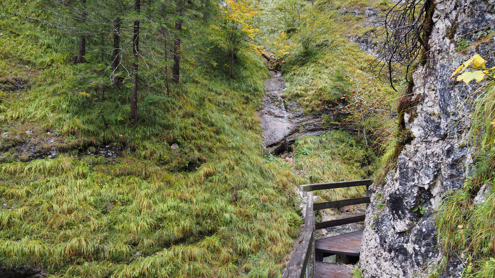 Erzhalden, Wasserlochklamm, SzG3