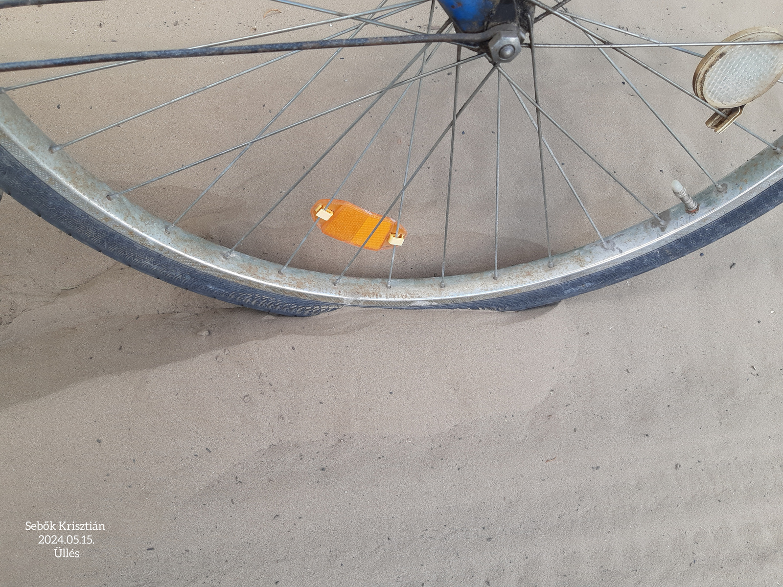 Bicikli a poszaly homokban. Üllés, 2024.05.15.