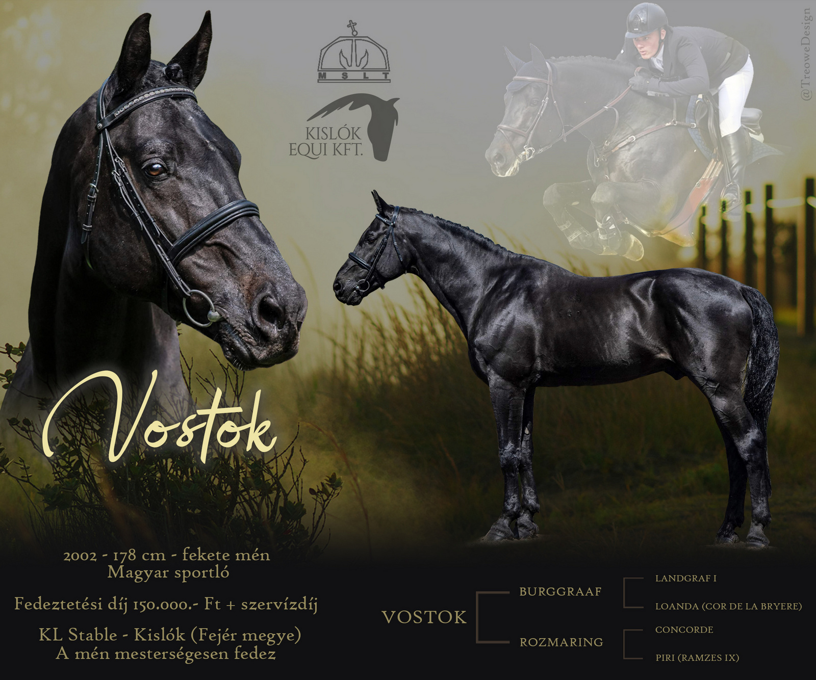 VOSTOK studcard