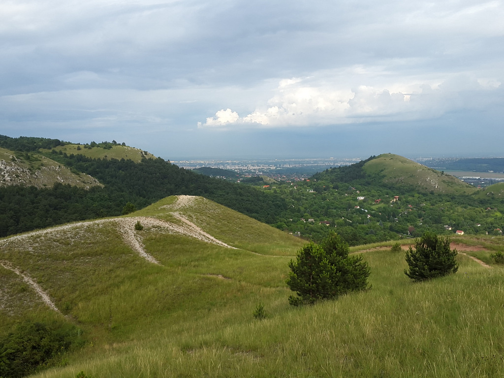 cameringo 20160611 183135