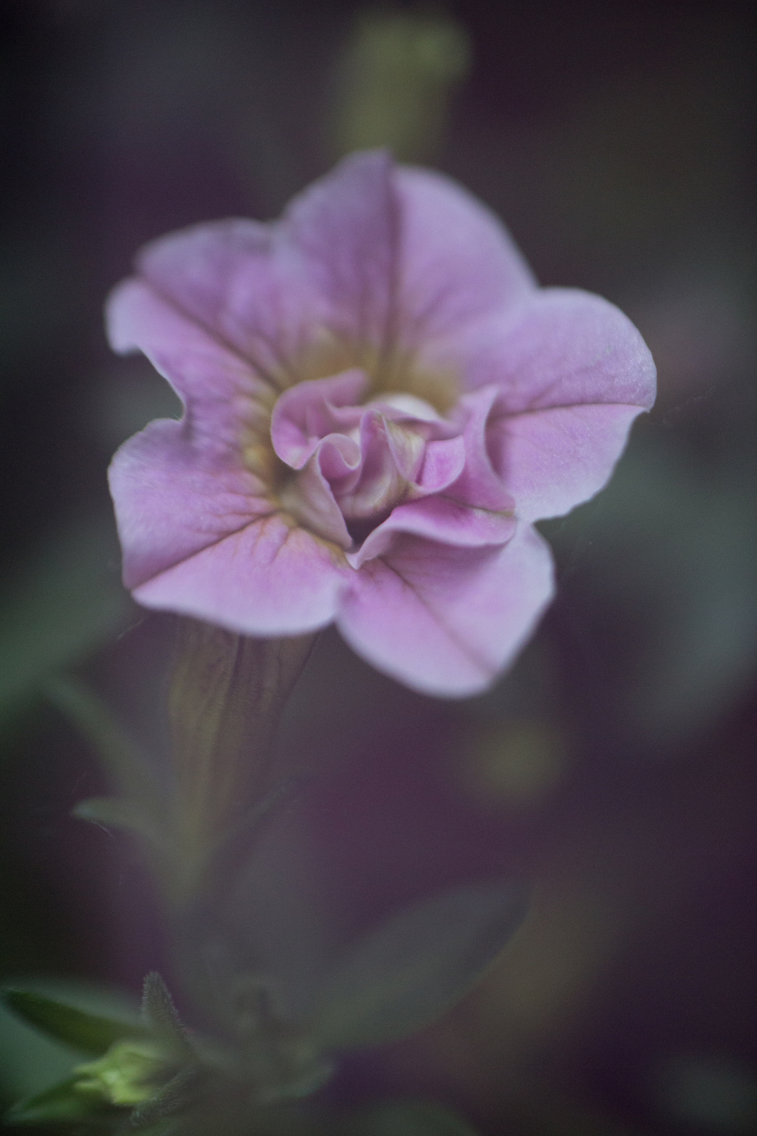 freelensingeosm-2