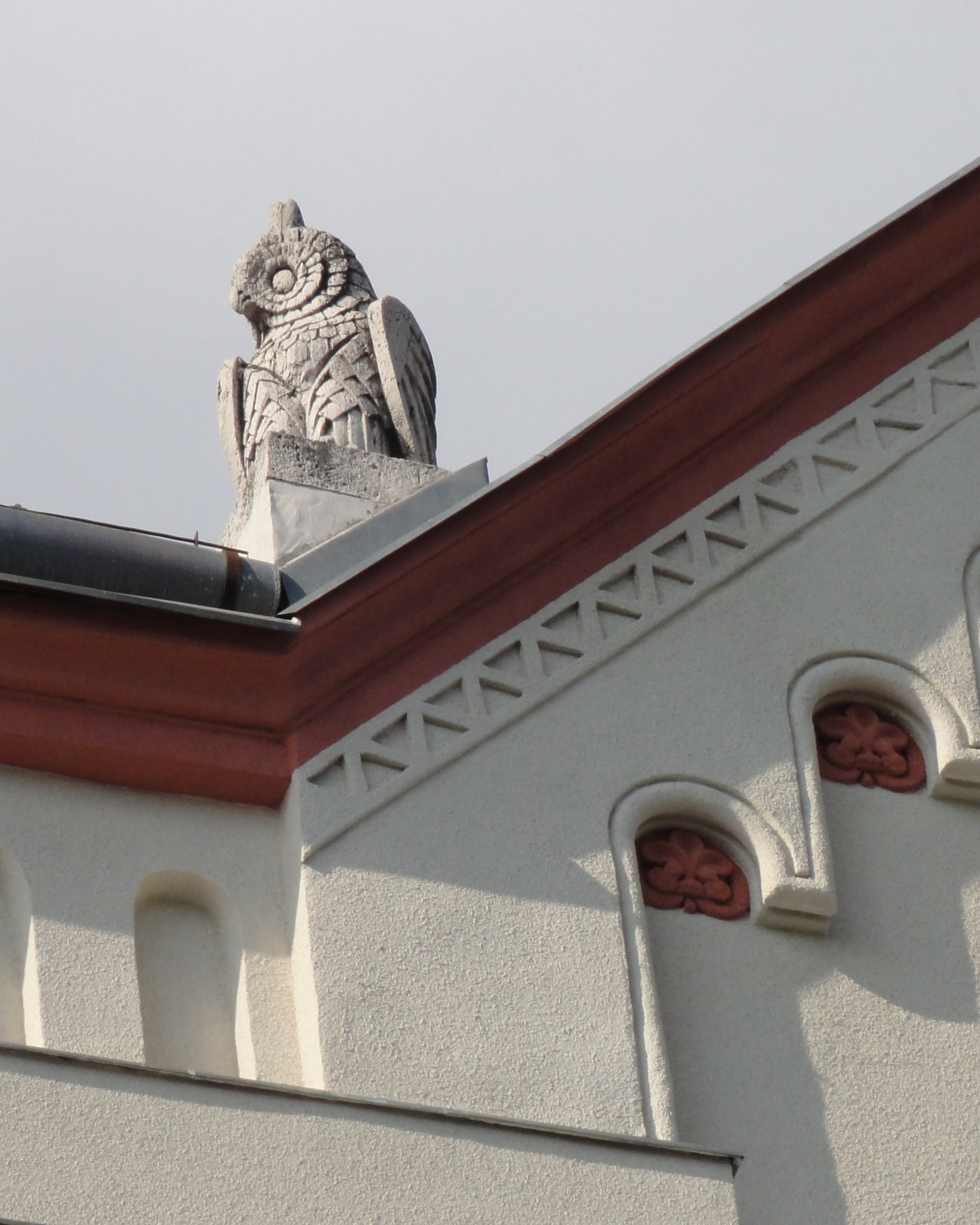 2012.04.21. Bagoly az Eötvös kollégium tetején