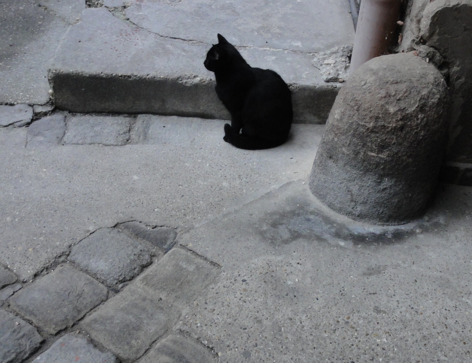 Macska kő