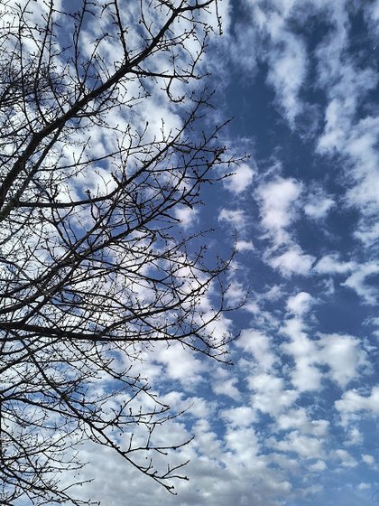 IMG 20250126 131310731 HDR