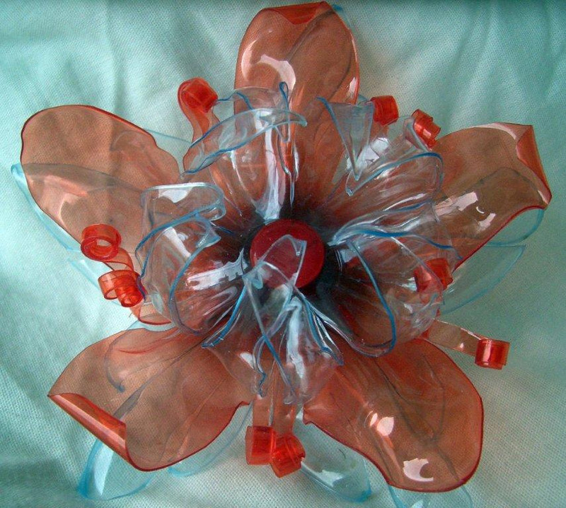 plastic bottles flowers by tamás kánya