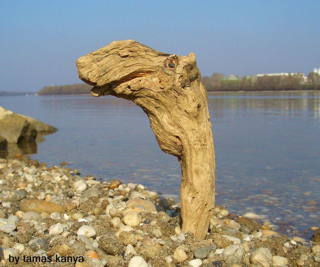 driftwood art in hungary by tamas kanya