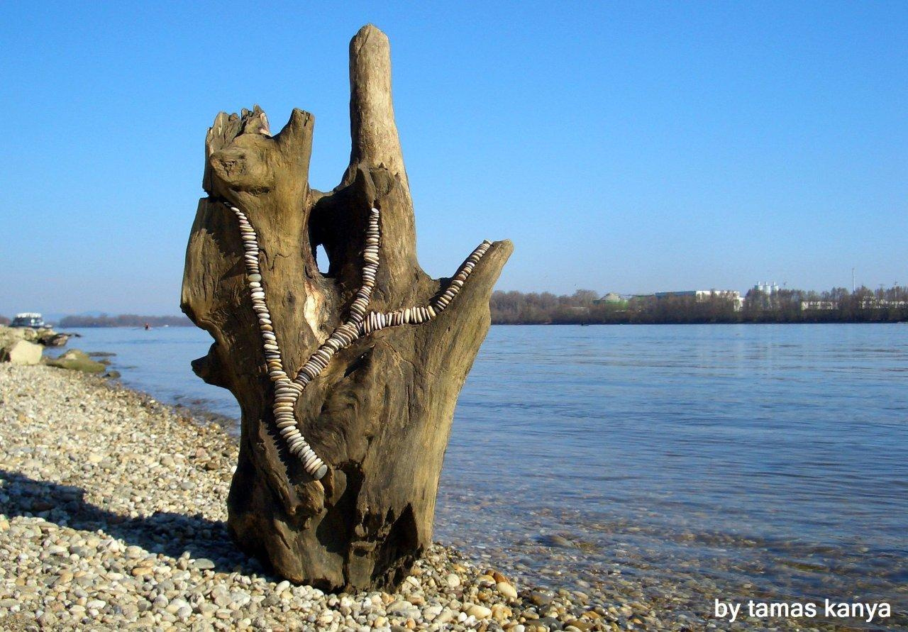 Driftwood art in hungary by tamas kanya