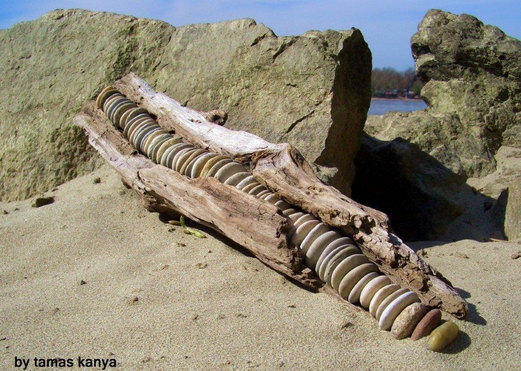 driftwood and stone by tamas kanya