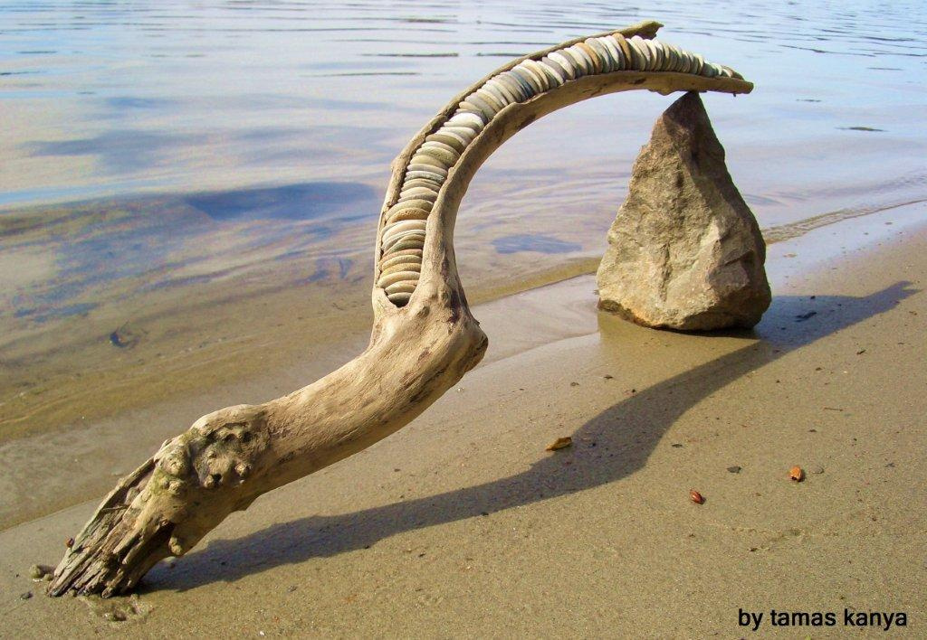 driftwood art in hungary by tamas kanya