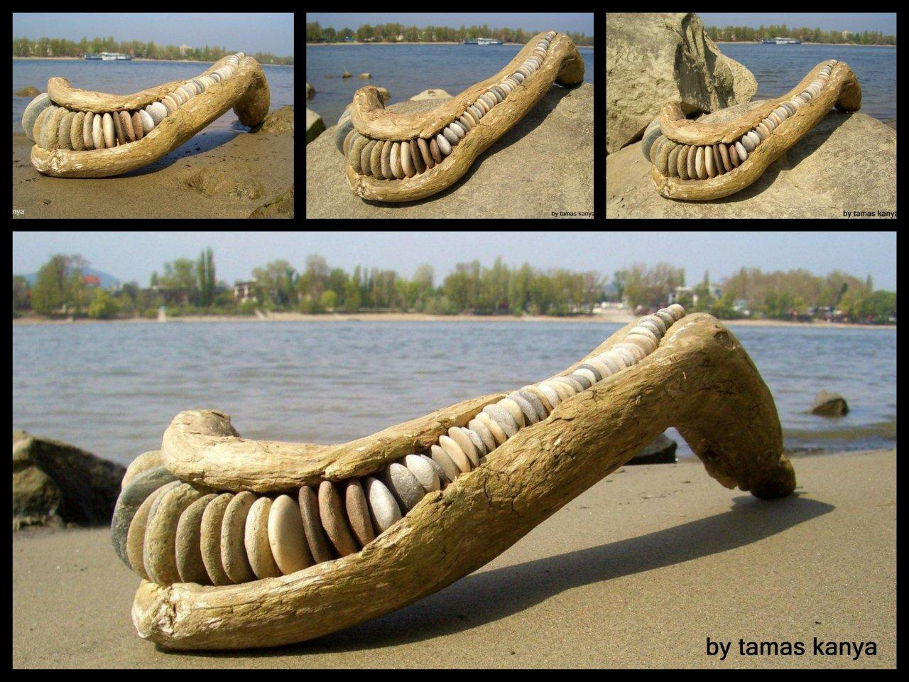 driftwood art in hungary by tamas kanya