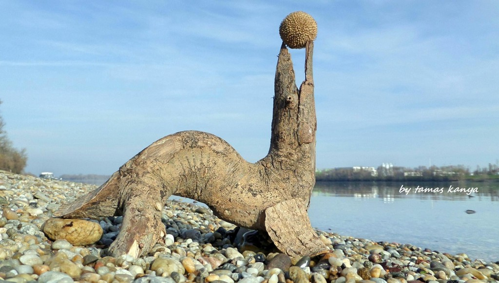 Driftwood art-Seal with ball in Hungary by tamas kanya