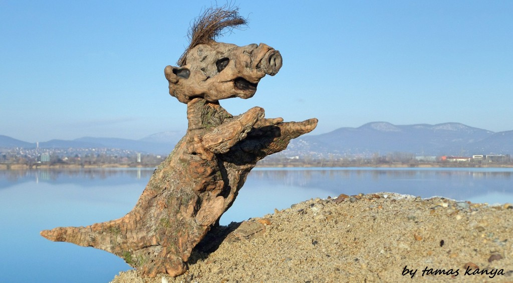 Driftwood art in Hungary(ALF)by tamas kanya