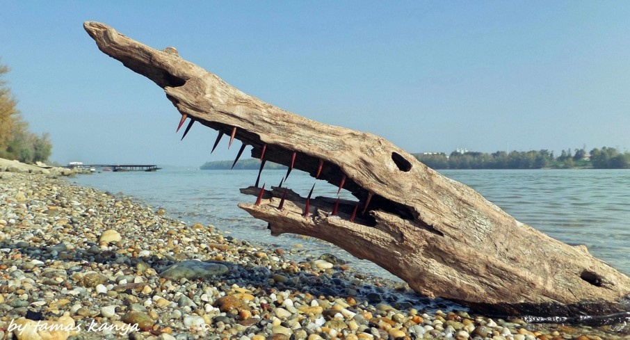 Driftwood art in Hungary by tamas kanya