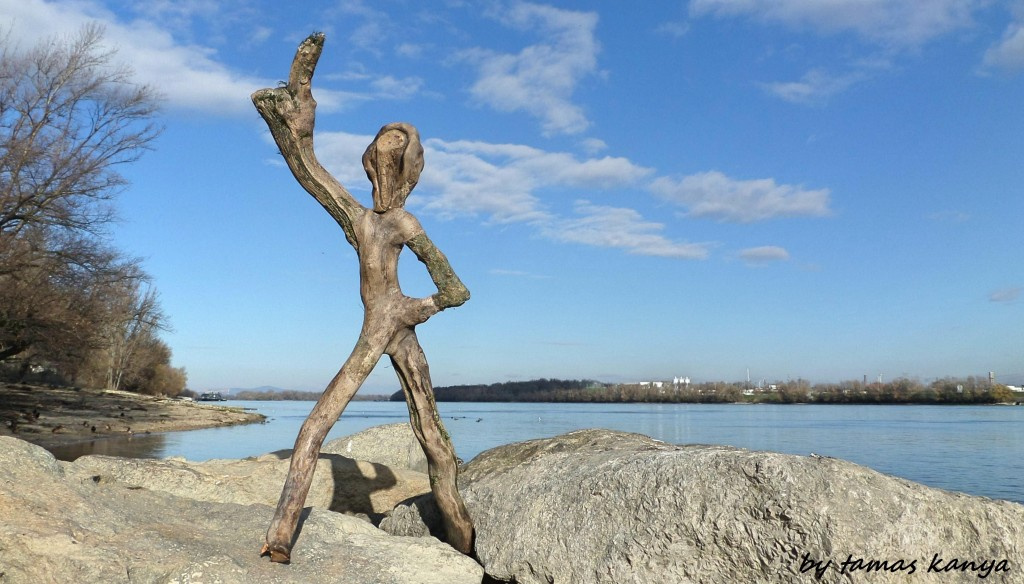 Driftwood disco dance in Hungary by tamas kanya