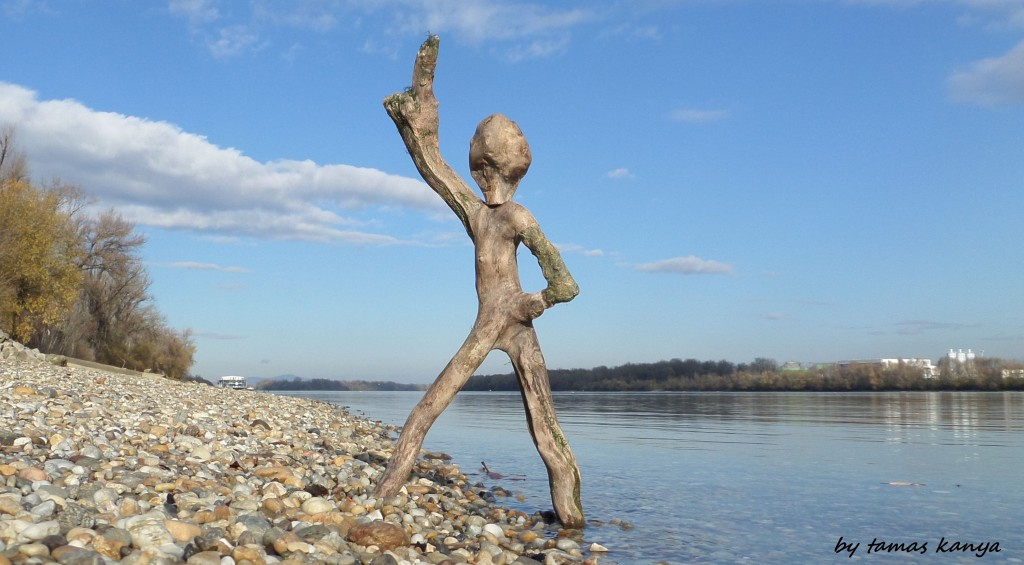 Driftwood disco dance in Hungary by tamas kanya