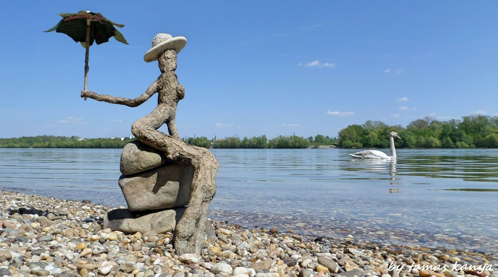 Driftwood art in Hungary by tamas kanya