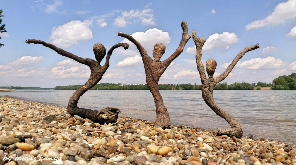 Driftwood art in Hungary by tamas kanya