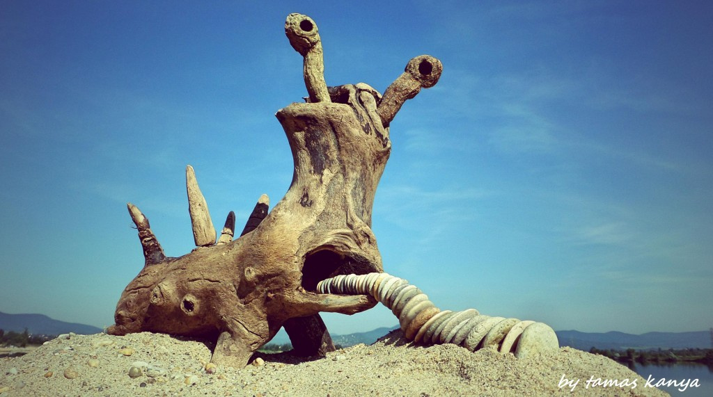 Driftwood art in Hungary by tamas kanya