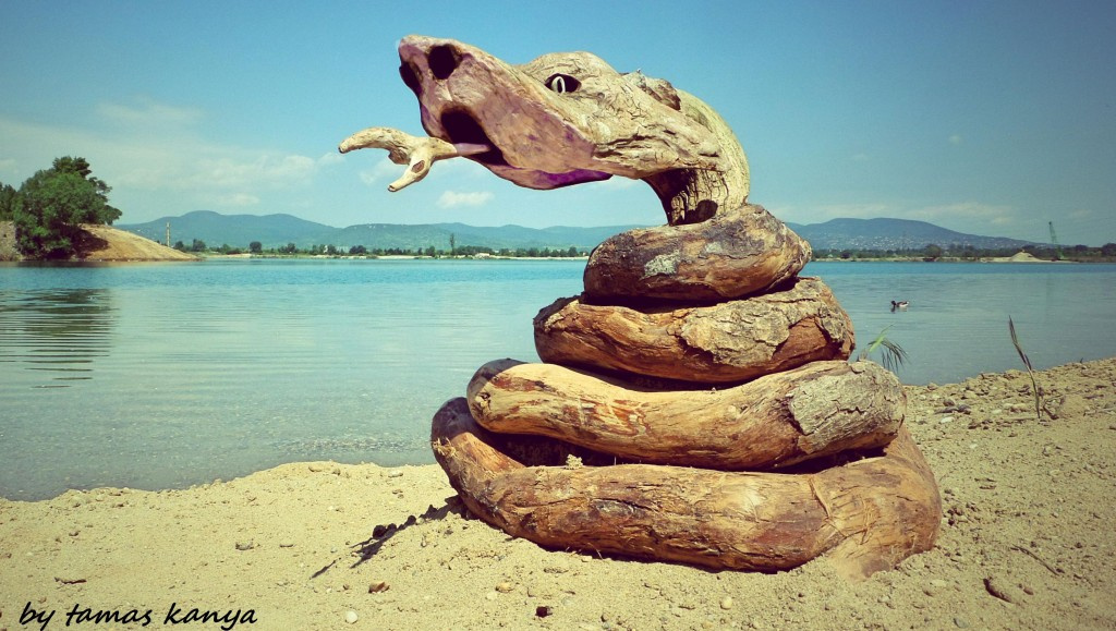 Driftwood art in Hungary by tamas kanya