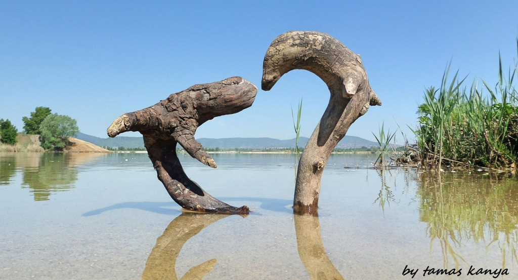 Land art in Hungary by tamas kanya