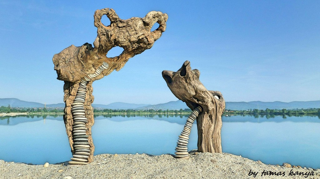 Driftwood art from Hungary by tamas kanya