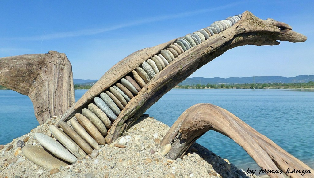 Driftwood art from Hungary by tamas kanya