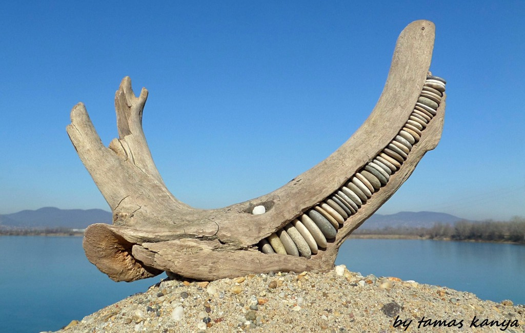 Driftwood art from Hungary by tamas kanya