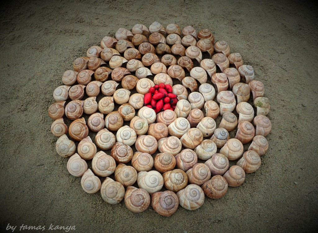 Land art from Hungary by tamas kanya