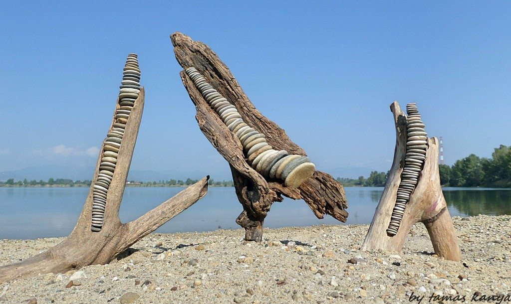 Driftwood art from Hungary by tamas kanya