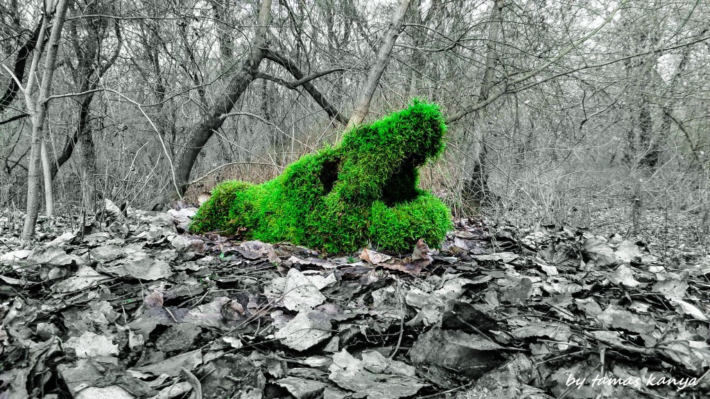 land art from Hungary by tamas kanya