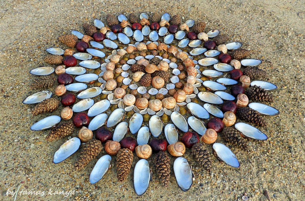 Land art mandala from Hungary by tamas kanya