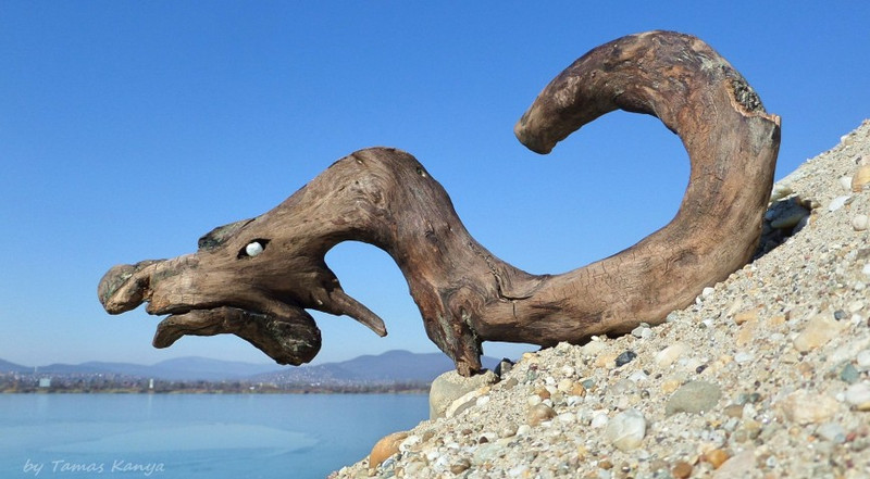 Driftwood art from Hungary by tamas kanya