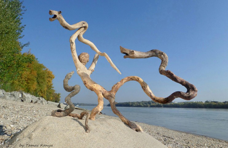 Driftwood art by tamas kanya