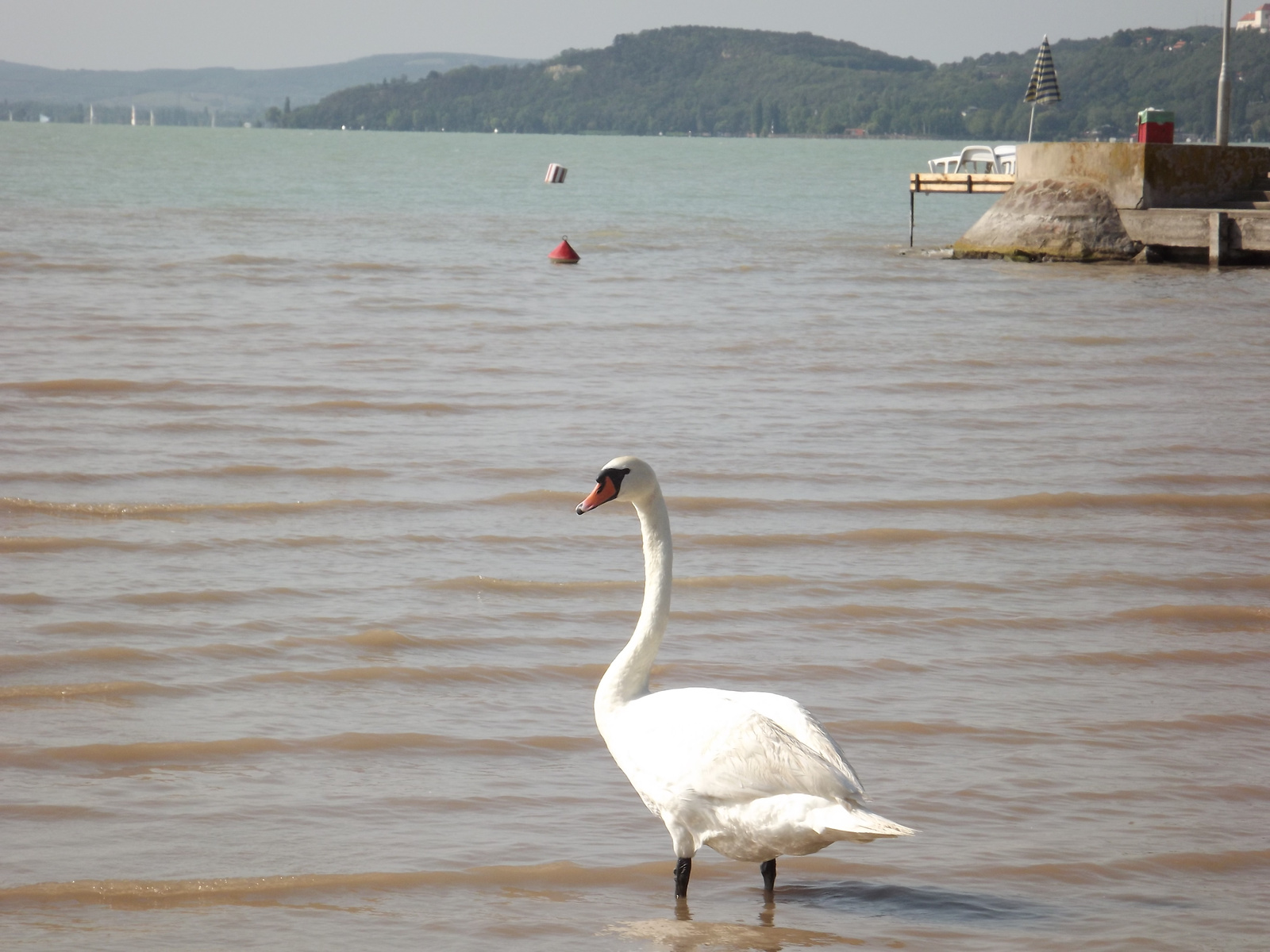 Balatonfüred