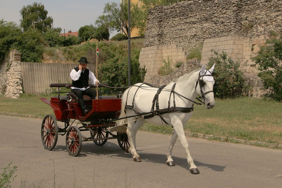 régi és új találkozása