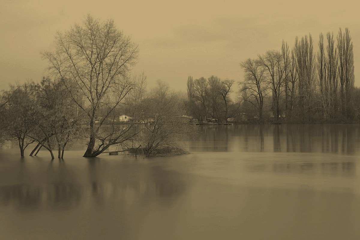 A Tisza Zagyva találkozása áradáskor...