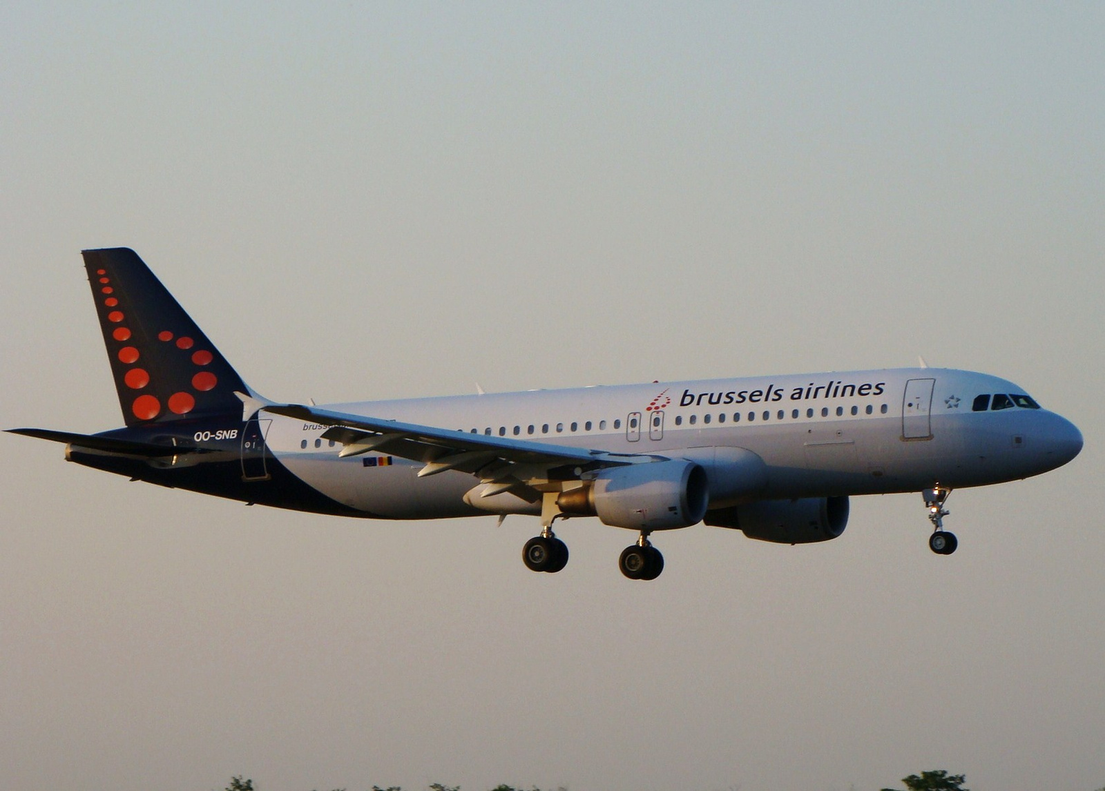 Brussels Airlines ( Belgium 2007 - )