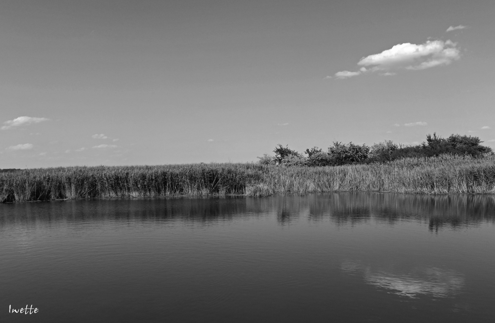 Kakasszéki tó