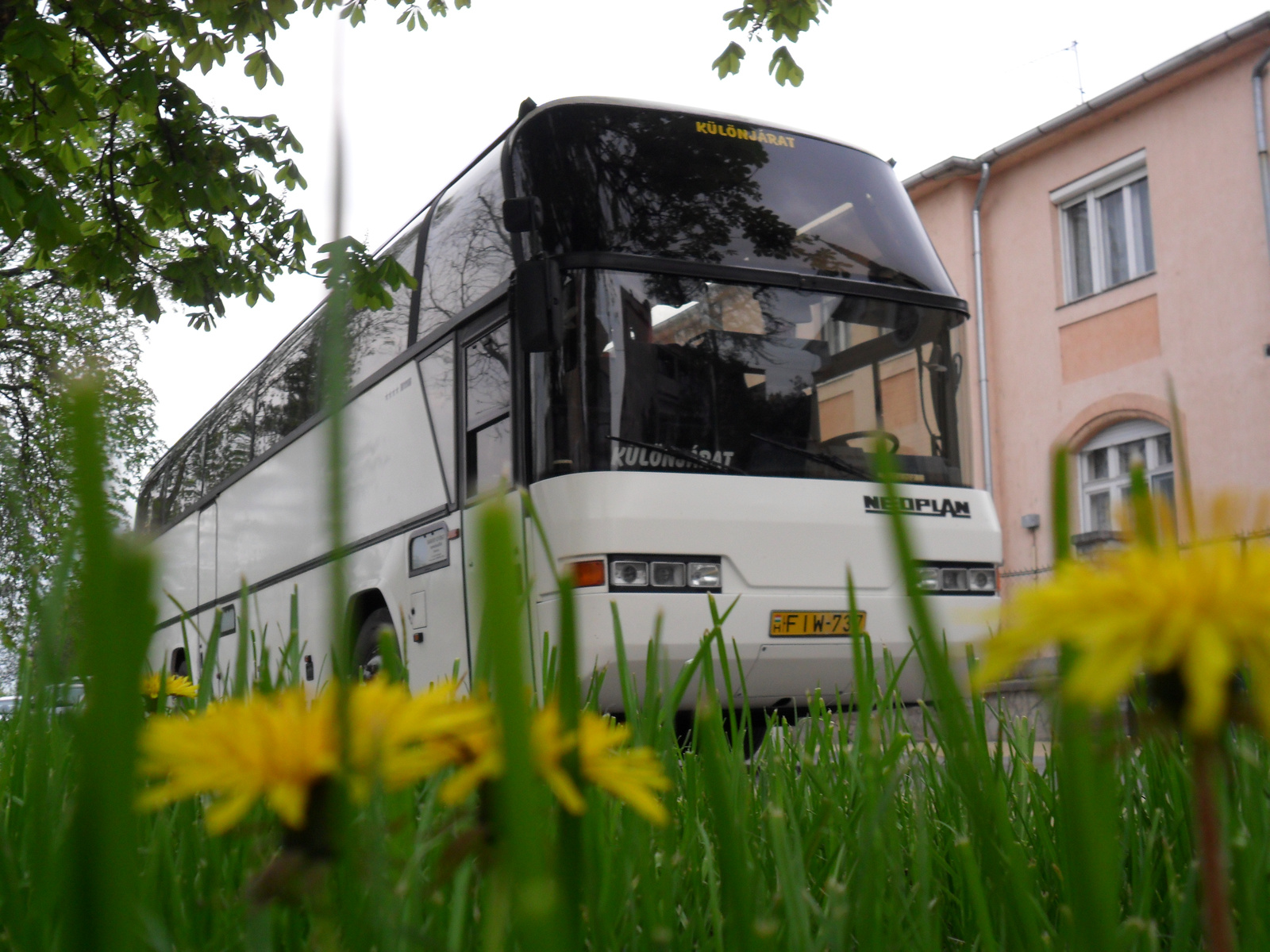 FIW-737 Neoplan N116